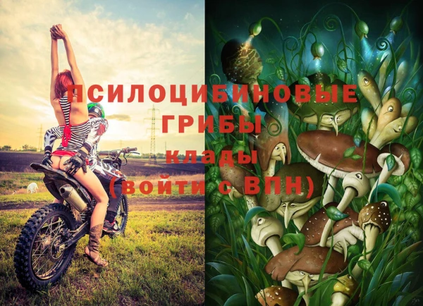 ALPHA-PVP Богородицк