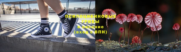 спайс Сатка
