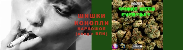ALPHA-PVP Богородицк