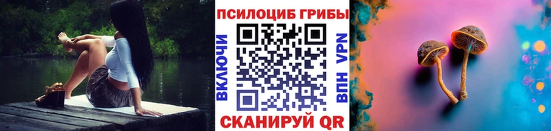Галлюциногенные грибы Psilocybine cubensis  купить закладку  Киреевск 